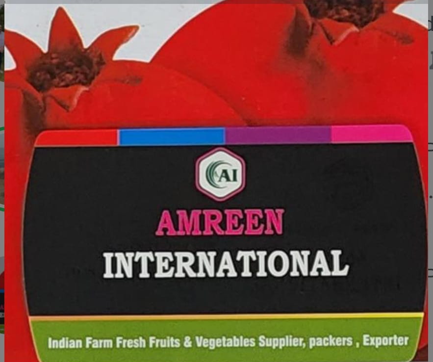 AMREEN INTERNATIONAL